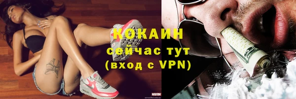 твердый Строитель