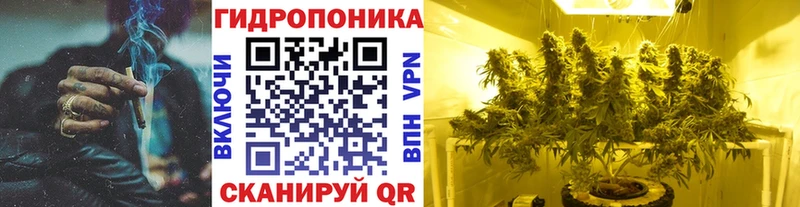 Бошки марихуана план  Туран 
